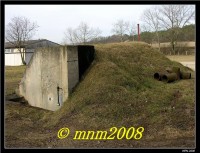 /album/vrutice/a046-jpg2/